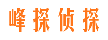 下陆侦探公司